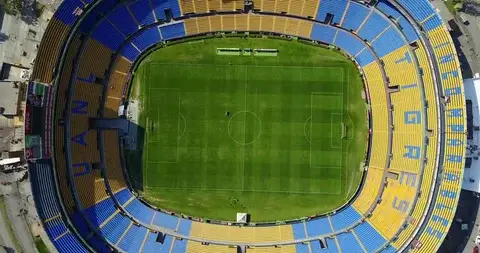 Tigres UANL en vivo
