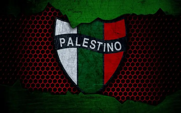 Club Deportivo Palestino en vivo