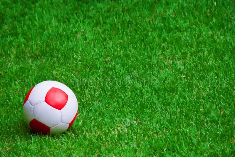 Independiente Santa Fe en vivo